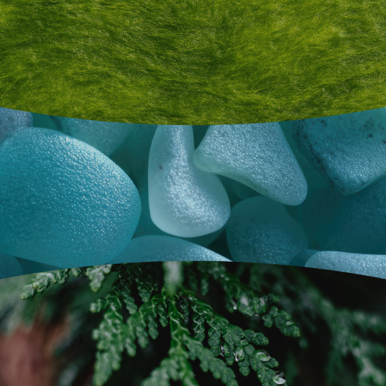 CEDARWOOD & OCEAN MOSS